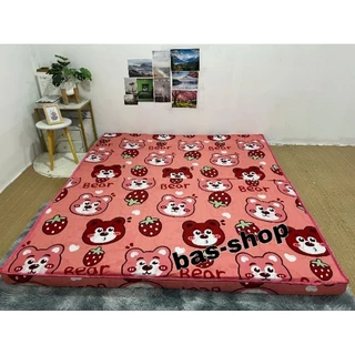 ฟูกที่นอนพับได้ หนา 4นิ้ว แถมฟรี ปลอกหมอน 2ใบ สีเดี่ยวกัน ลายเดี่ยวกัน