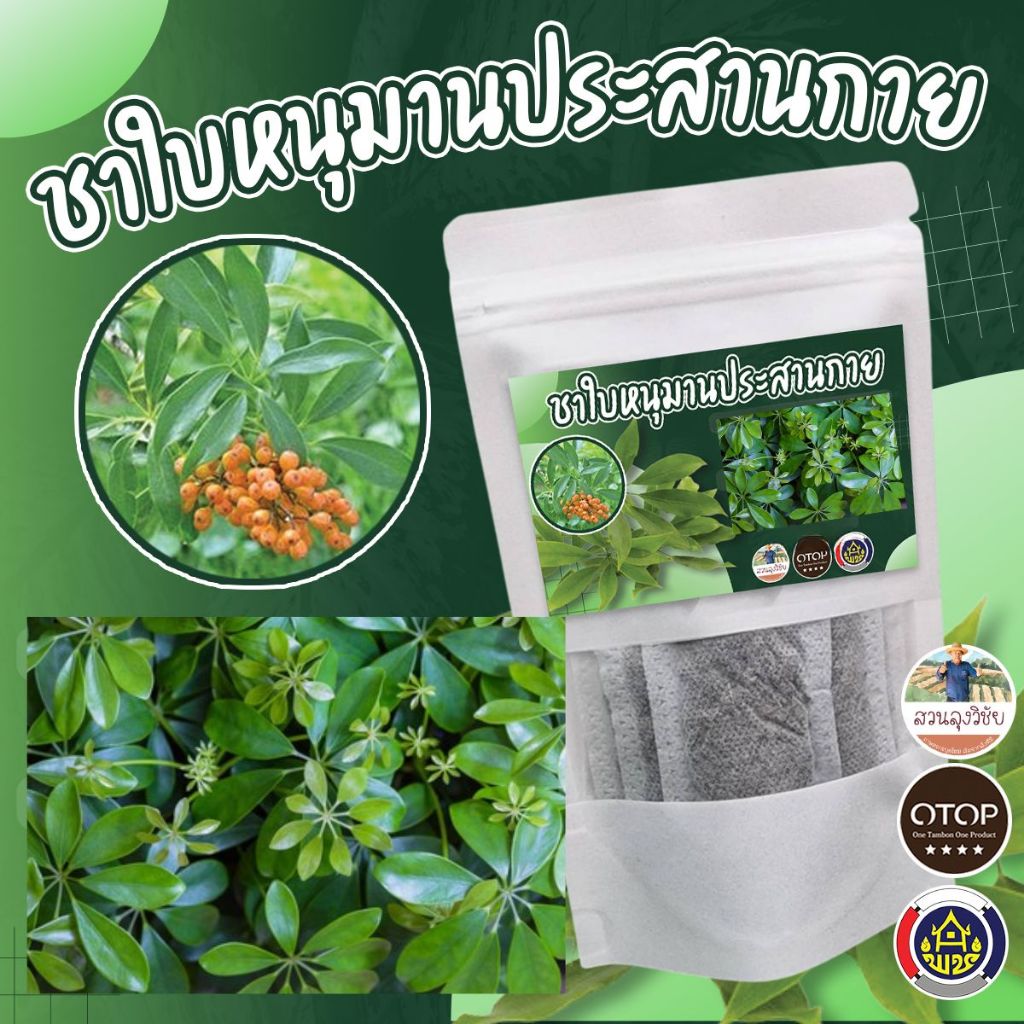 ชาหนุมานประสานกาย หนุมานประสานกาย ออกใบกำกับได้ สินค้าดี OTOP ขนาด 12 ซองชา