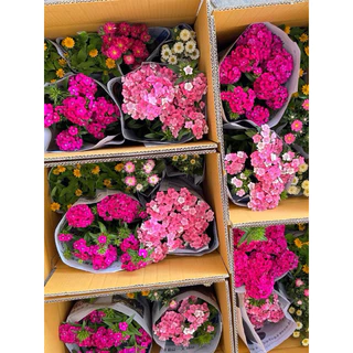 มัดรวมดอกไม้กินได้ แบบถุง หลากหลายชนิด💐💐