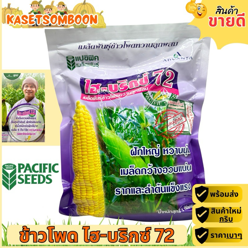 ไฮบริกซ์ 72 เมล็ดพันธุ์ข้าวโพดหวาน 1 กก. ตราแปซิฟิค ฝักใหญ่ หวานนุ่ม เมล็ดกว้างอวบแน่น รากและลำต้นแข็งแรง