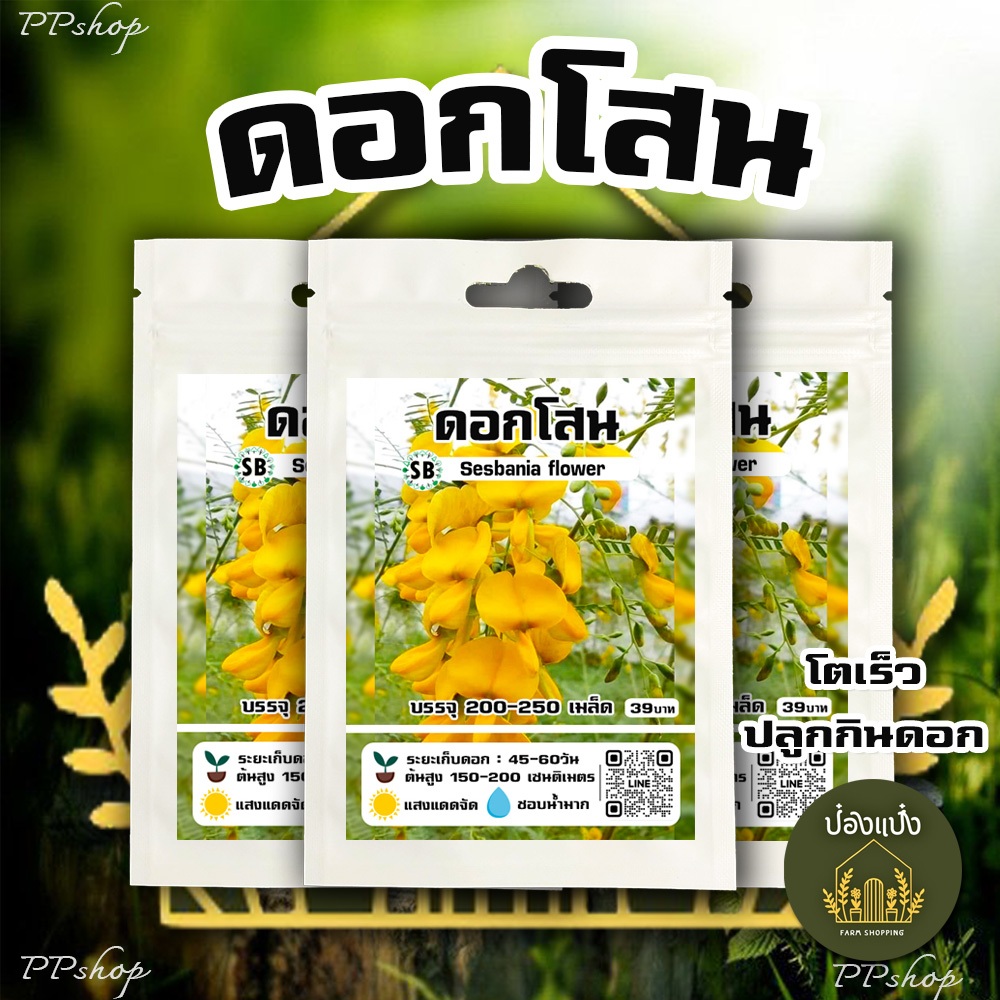 เมล็ดดอกโสน - กินดี/สีเหลืองสวย [บรรจุ 200-250 เมล็ด/ซอง] // PPshop