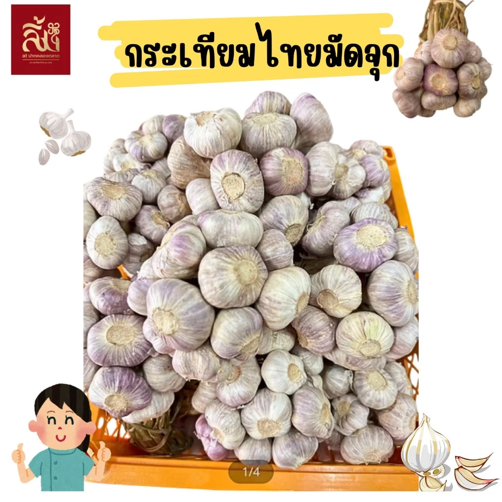 กระเทียมไทยจุก ขนาด 1กิโล