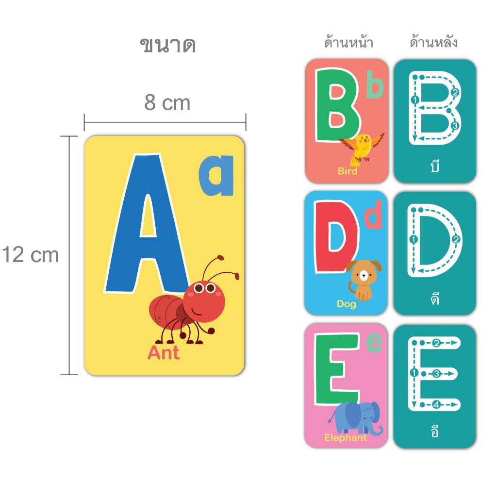 บัตรภาพคำศัพท์ #flashcard รวม7หมวดสุดคุ้ม เสริมทักษะทางภาษา - รูปที่ 3
