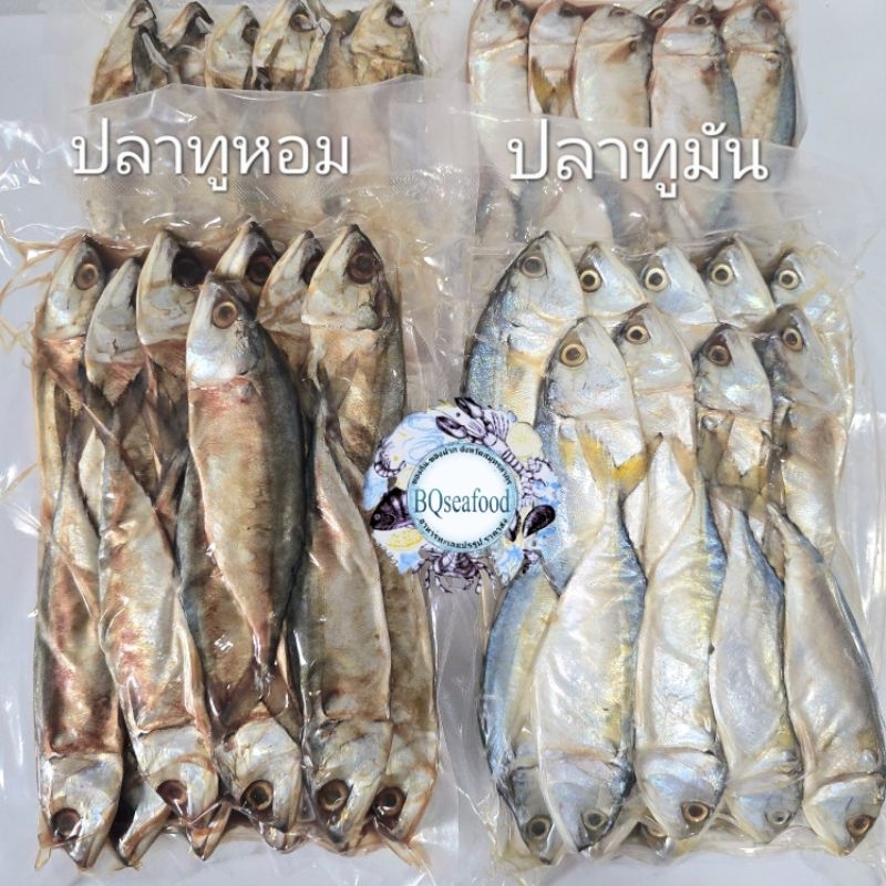 ปลาทูหอม/ปลาทูมัน เเพ็ค1กิโลกรัม ประมาณ15-18ตัวโล