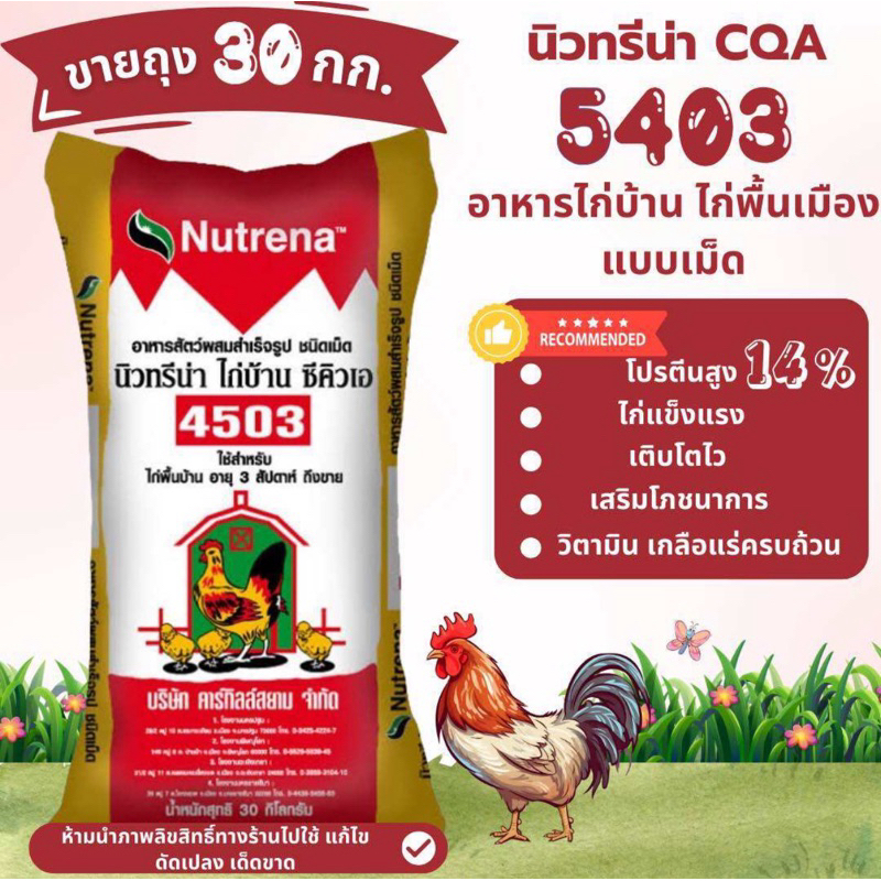 (ขายยกกระสอบ30kg)อาหารไก่บ้าน ไก่พื้นเมือง🐣🐔นิวทรีน่า 4503 แบบเม็ด🌽ไก่โตไว เนื้อดี แข็งแรง