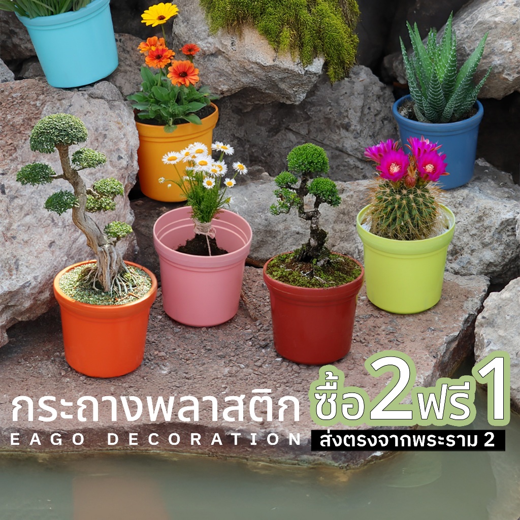 กระถางต้นไม้พลาสติก กระถางมินิมอล กระถางโมเดิร์นระบายน้ำได้ดีป้องกันรากเน่า พลาสติกแข็งแรงงานญี่ปุ่น