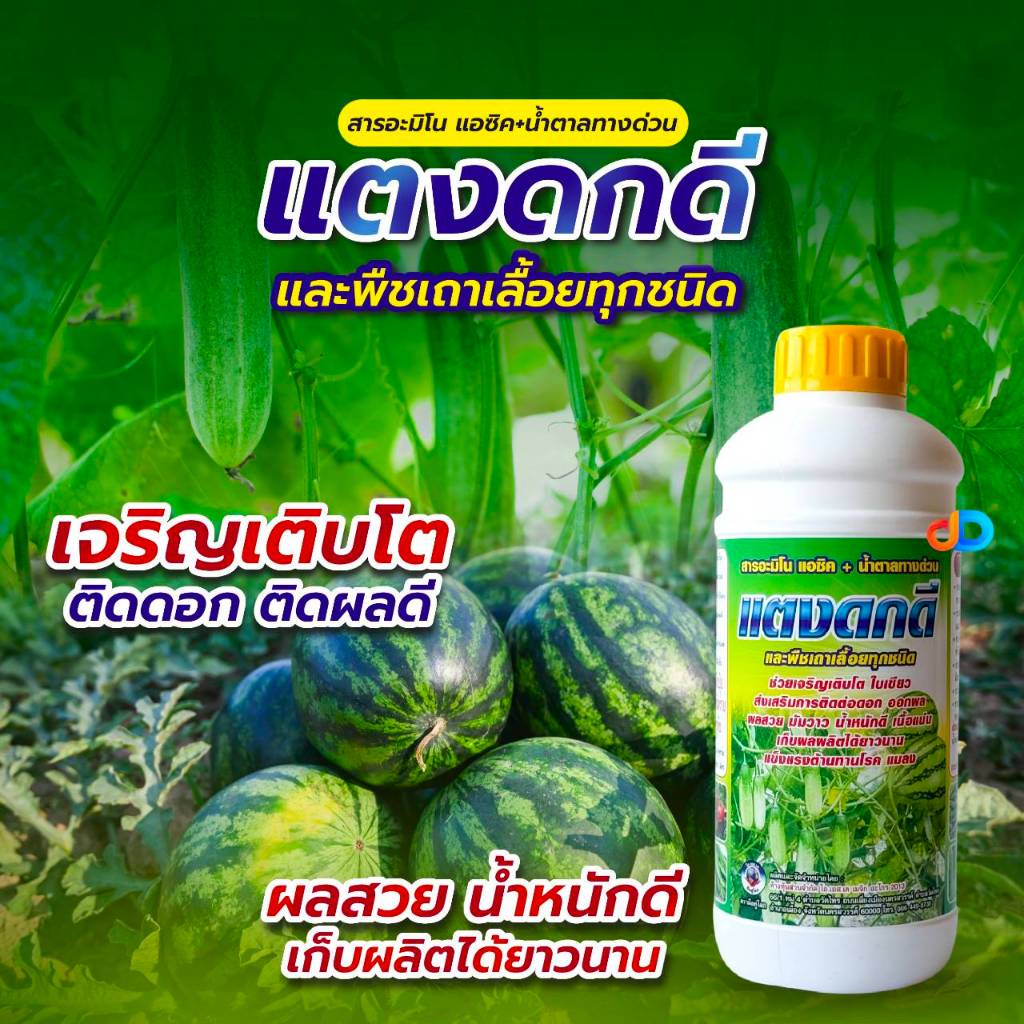 แตงดกดี -สารอะมิโนแอซิค+น้ำตาลทางด่วน ขนาด1 ลิตร พืชเถาเลื้อยทุกชนิด ช่วยเจริญเติบโต ใบเขียว ออกผล ผลสวย มันวาว