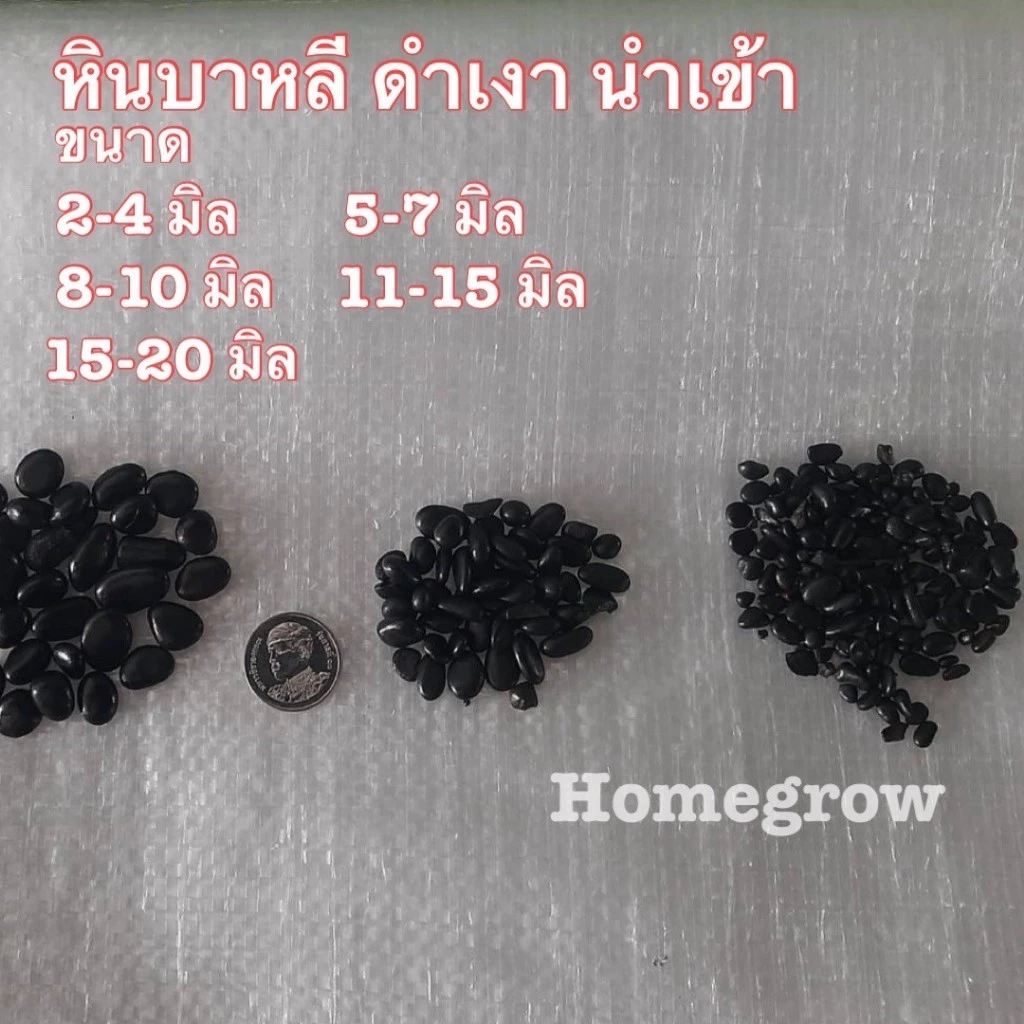 หินขาวเงา หินลาวาดำออสเตรเลีย คัดพิเศษ หินโรยหน้ากระถาง หินตู้ปลา หินแคคตัส หินแม่น้ำ thumbnail 6