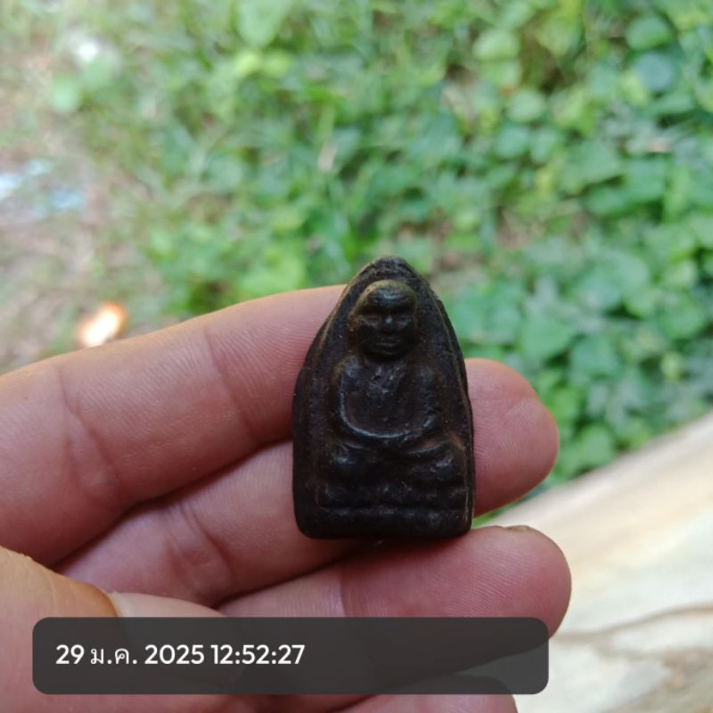 ว่านหลวงปู่ทวดเขาอ้อรุ่นแรก