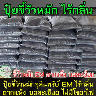 ขี้วัวหมักอย่างดี ผสมไตรโครเดอร์ม่าป้องกันโรคพืช บดละเอียดพร้อมใช้ 1 กิโล ขี้วัว หมัก EM ปุ๋ยคอก​ มูลวัว ปุ๋ยหมัก