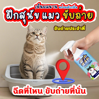 ขับถ่ายประจำที่ 🐱🐶 ฝึกฉี่สุนัข ฝึกแมวฉี่ ฝึกฉี่ ฝึกสุนัขฉี่ …