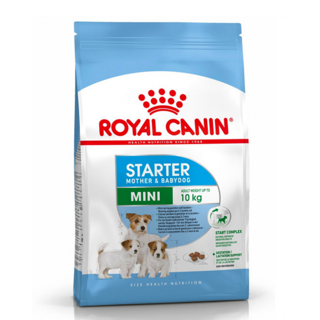 Royal Canin Mini Starter 1 kg อาหารสำหรับแม่สุนัขตั้งท้องพันธ์ุเล็กและลูกสุนัข