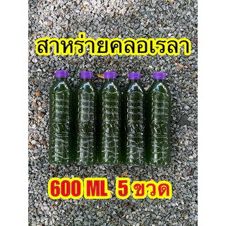 ชุดเพาะน้ำเขียว+แถมไข่ไรแดงมาโคร อามิ ชุดอาหารไรแดง หัวเชื้อน้ำเขียวสาหร่ายคอลเรล่า คอลเรล่าเข้มข้น ไรแดง ชุดเพาะไรแดง