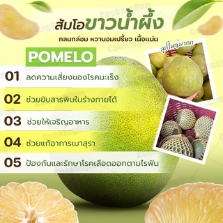 🚚ส่งฟรี/มีไลฟ์🚚🍏 ส้มโอขาวน้ำผึ้ง 🍏 ( 4 ลูก ) รสจัด กลมกล่อม หวานอมเปรี้ยว เนื้อแน่น ส่งตรงจากสวน cookingrun 📌