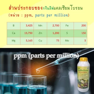 กรีนลีฟ แคลเซียมโบรอน (CB1) ขวด 1 ลิตร ช่วยผสมเกสร ขั้วดอกขั้วผลเหนียว ขยายและเพิ่มผลผลิต สร้างเซลล์ลดผลแตก