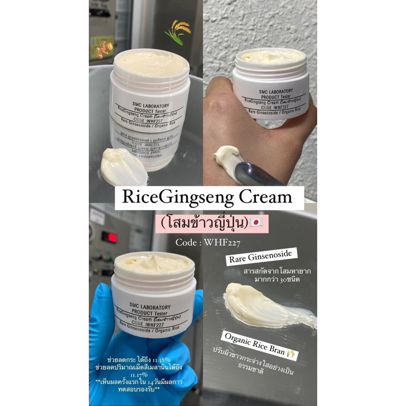 RiceGingseng Cream (โสมข้าวญี่ปุ่น) ขนาด100กรัม