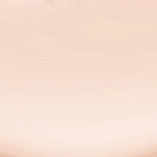 L'OREAL - Infallible Pro-Cover Cushion (14 g.) ลอรีอัล ปารีส อินฟอลลิเบิล โปร คัฟเวอร์ คุชชั่น