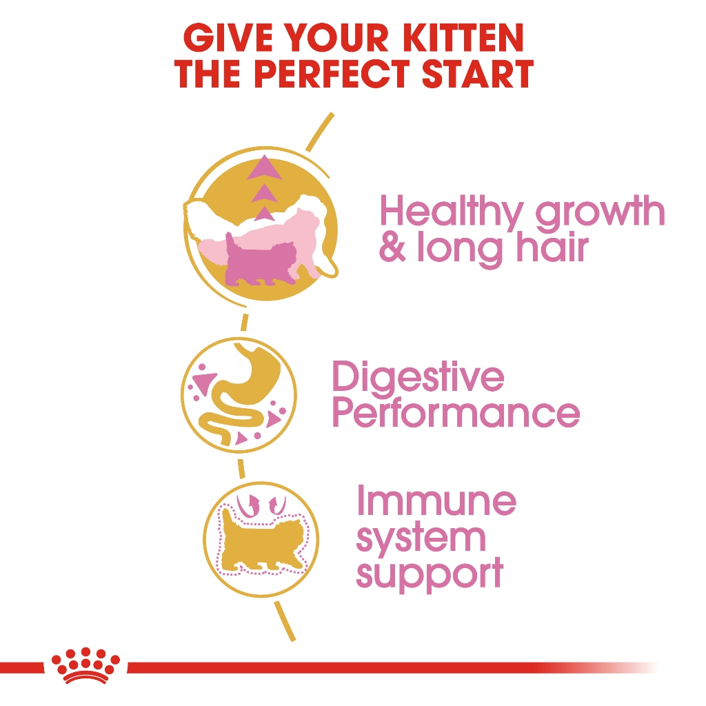 Royal Canin Cat Persian Kitten สำหรับลูกแมวพันธุ์เปอร์เซีย อายุ 4 - 12 เดือน - รูปที่ 3
