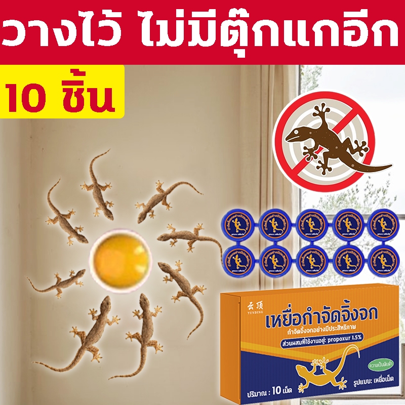 🦎สิบปีไม่มีจิ้งจก🦎AP ยาฆ่าตุ๊กแก ยาจิ้งจก ไล่ตุ๊กแก ยาฆ่าจิ้งจก 10 ชิ้น ดึงดูดรวดเร็ว ฆ่าจิ้งจกมีประสิทธิภาพ