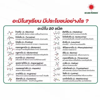 อะมิโนทุเรียน สำหรับทุเรียนโดยเฉพาะ เข้มข้นสูง แอลอะมิโนแท้ ขนาด 1 ลิตร ดวงตะวันเพชร