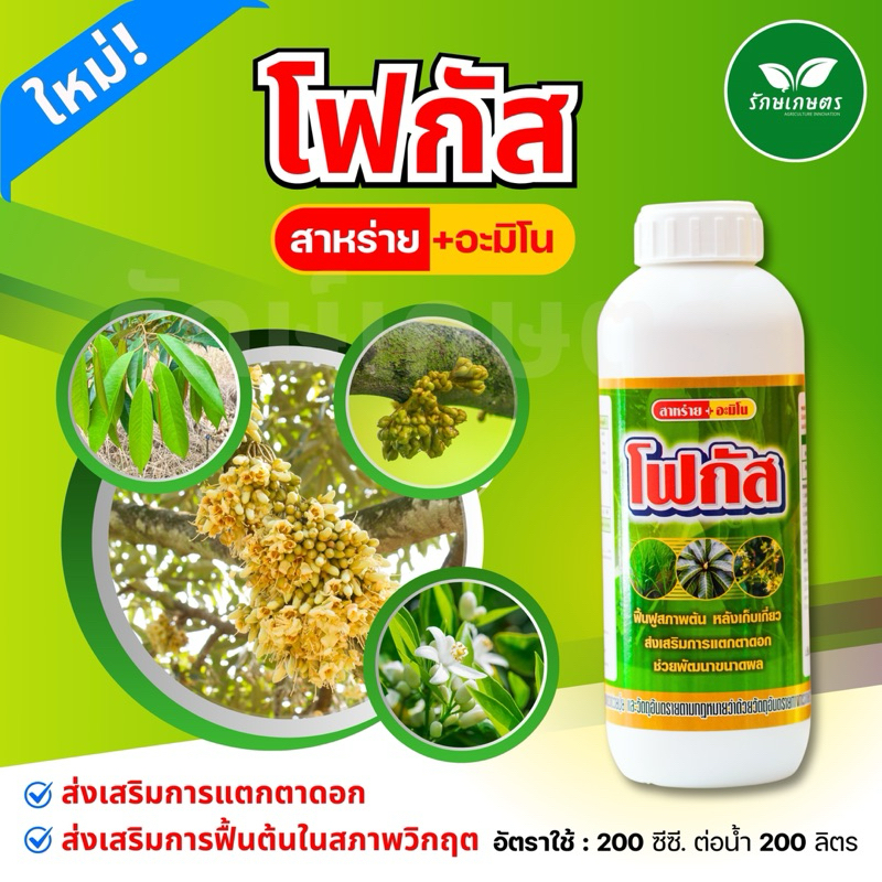 โฟกัส สาหร่ายอะมิโน 1ลิตร เปิดตาดอก ฟื้นต้น ทำใบ