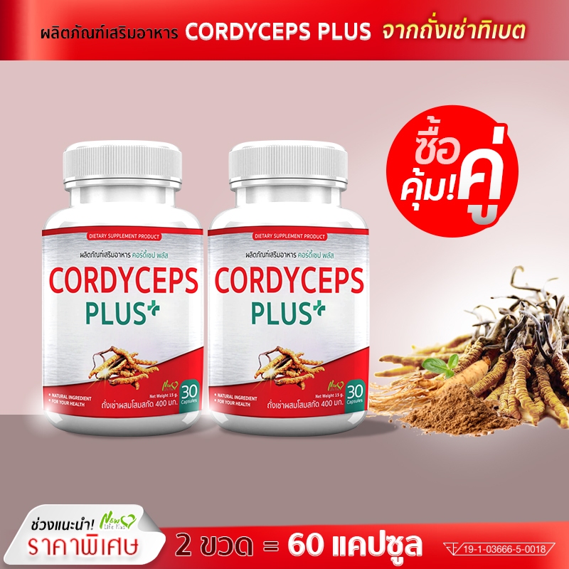 🔥ส่งฟรี! ส่งไว🔥 ถั่งเช่าแท้ทิเบตผสมโสม สกัดเข้มข้น 400 มก. คอร์ดี้เซป พลัส จากเอ็นแอลพลัส ซื้อคู่ (รวม 60 แคปซูล)