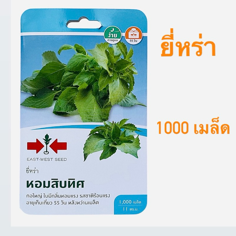 ศรแดง ยี่หร่า พันธุ์หอมสิบทิศ (1000 เมล็ด)