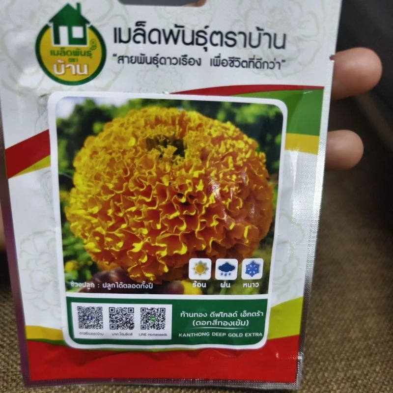 เมล็ดพันธุ์ ดาวเรืองตราบ้าน ก้านทอง ดีฟโกลดฟ์extra ดอกสีทองเข้ม บรรจุ1,000เมล็ด ปลูกได้ทุกฤดู