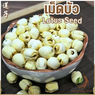 เม็ดบัว 50 100 250 กรัม แกะเปลือก เม็ดบัวจีน เมล็ดบัวแห้ง Lian Zi 莲子 Lotus Seed เหลียนจื่อ สมุนไพรจีน Semen Nelumbinis