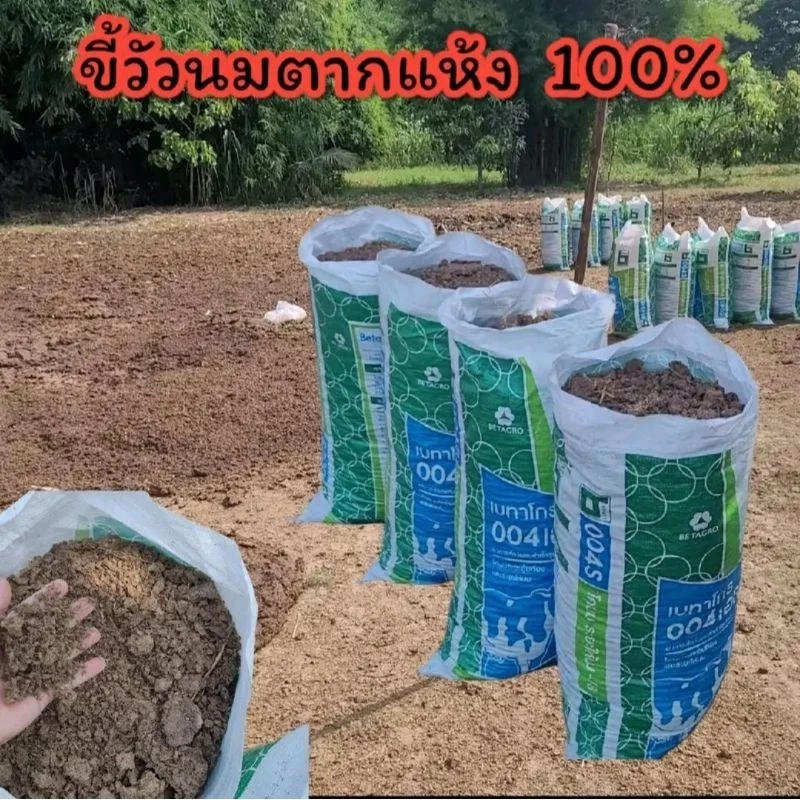 ขี้วัวนมแท้100% ยกกระสอบ น้ำหนักประมาณ10kg.