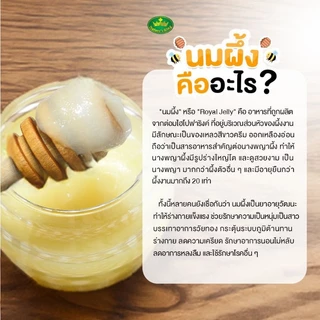 นมผึ้ง royal jelly ของแทั เนเจอร์คิง nature's king มี2ขนาด นมผึ้งออสเตรเลีย