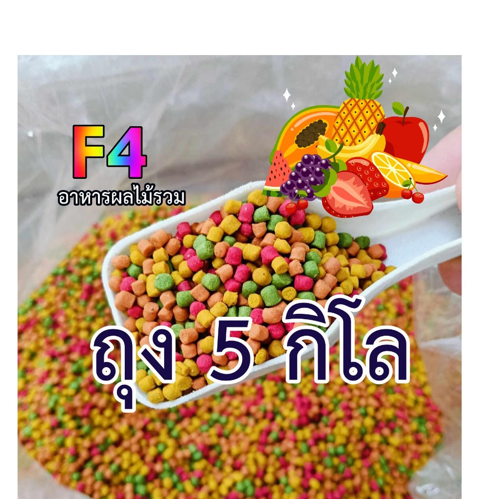 💥F4 อาหารนกผลไม้รวม 5 กก. Size s ผลไม้รวม 5 กก. 👍 F4 อาหารนก💥 F4 อาหารผลไม้รวม อาหารนกกรงหัวจุก