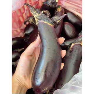 เมล็ดพันธุ์มะเขือยาวม่วงดำ 9บาท 30เมล็ด