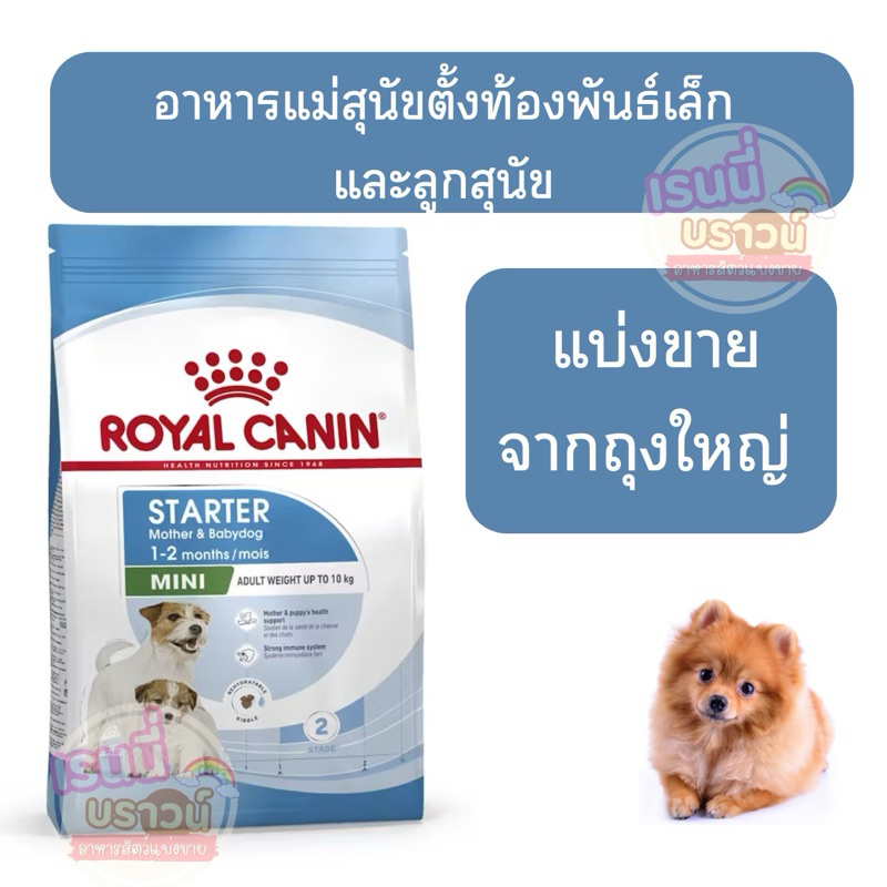 ส่งด่วนมาก+ผ่อนได้⚡️[[สุนัขแม่ลูก]] อาหารแม่สุนัข และลูกสุนัขพันธุ์เล็ก ชนิดเม็ด (MINI STARTER)
