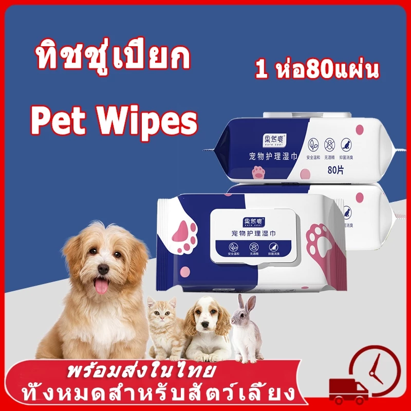 ทิชชู่เปียก การทำหมัน ผ้าเปียก หมา แมว 1 ห่อ80แผ่น ทิชชู่เปียกของเด็ก ผ้านุ่มชุ่มชื่น อ่อนโยนต่อผิว Pet Wipes