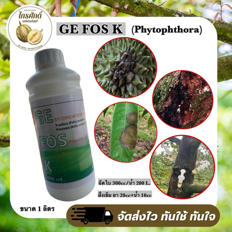 G FOS K(รากเน่า โคนเน่า ฝั่งเข็ม) ขนาด 1 ลิตร