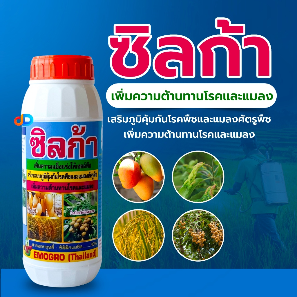 ซิลก้า ขนาด 1 ลิตร  สารซิลิก้า หรือ ซิลกอน ช่วยให้ผนังเซลล์มีความแข็งแรง จึงช่วยสร้างภมูิต้านทานแมลง โรค ได้ดีขึ้น ป้องก