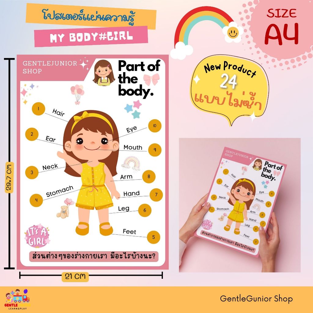 NEW! แผ่นความรู้ หมวดร่างกายของหนู และอีก 24 แบบ! สำหรับเด็กๆ ขนาด A4 สื่อการสอนหัดอ่านเสริมพัฒนาการ