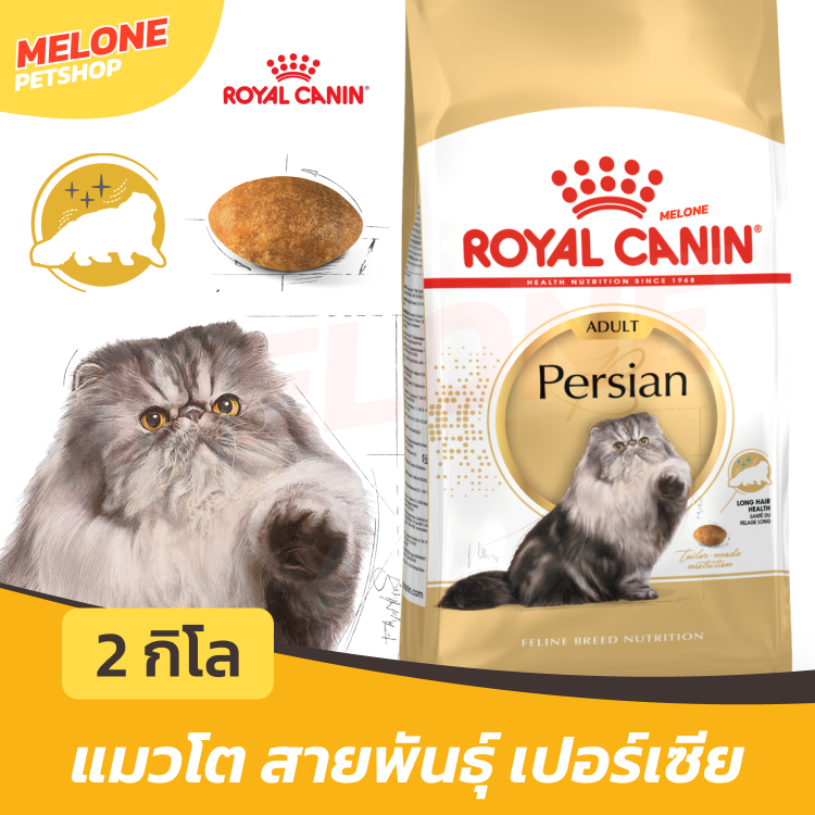 Royal Canin Persian Adult รอยัลคานิน อาหารแมว พันธุ์เปอร์เซีย แมวโต บำรุงขน ลดขนร่วง อายุ 12 เดือน ขึ้นไป ขนาด 2kg