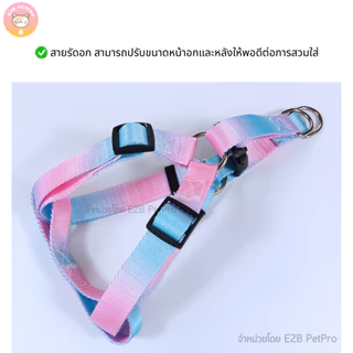 ปลอกคอสุนัข สายจูงสุนัข ไล่เฉดสีโดพามีน ปลอกคอสุนัขใหญ่สีสันสดใส C057