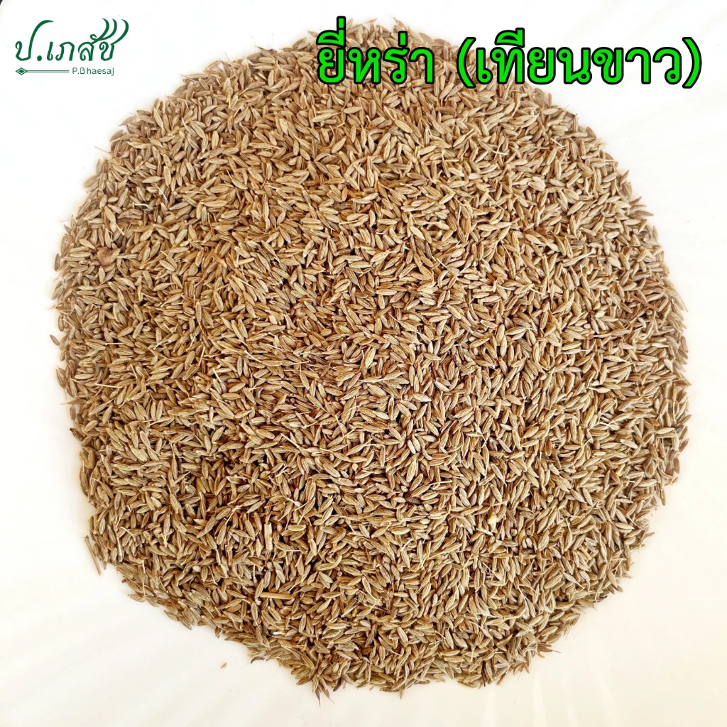 ยี่หร่า [50 / 100 กรัม] เทียนขาว ยี่หร่าแห้ง เมล็ดยี่หร่า Cumin Seeds