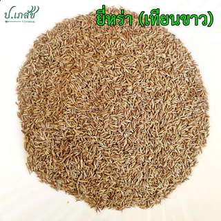 ยี่หร่า [50 / 100 กรัม] เทียนขาว ยี่หร่าแห้ง เมล็ดยี่หร่า Cumin Seeds