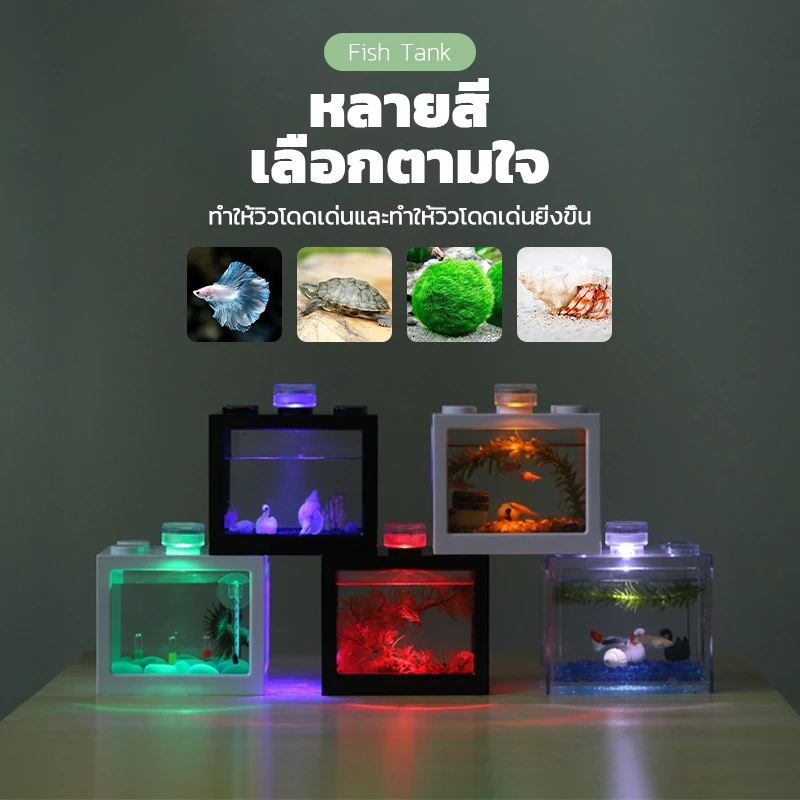 ตู้ปลากัด โหลปลากัด ABS แข็งแรง พร้อมฝาปิด หลายขนาด thumbnail 3