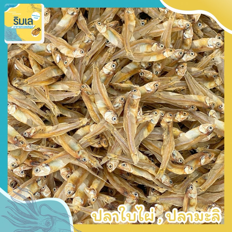 ปลาใบไผ่ ปลามะลิ ปลากะตัก ปลาตัวเล็กตากแห้ง ทอดกรอบอร่อย