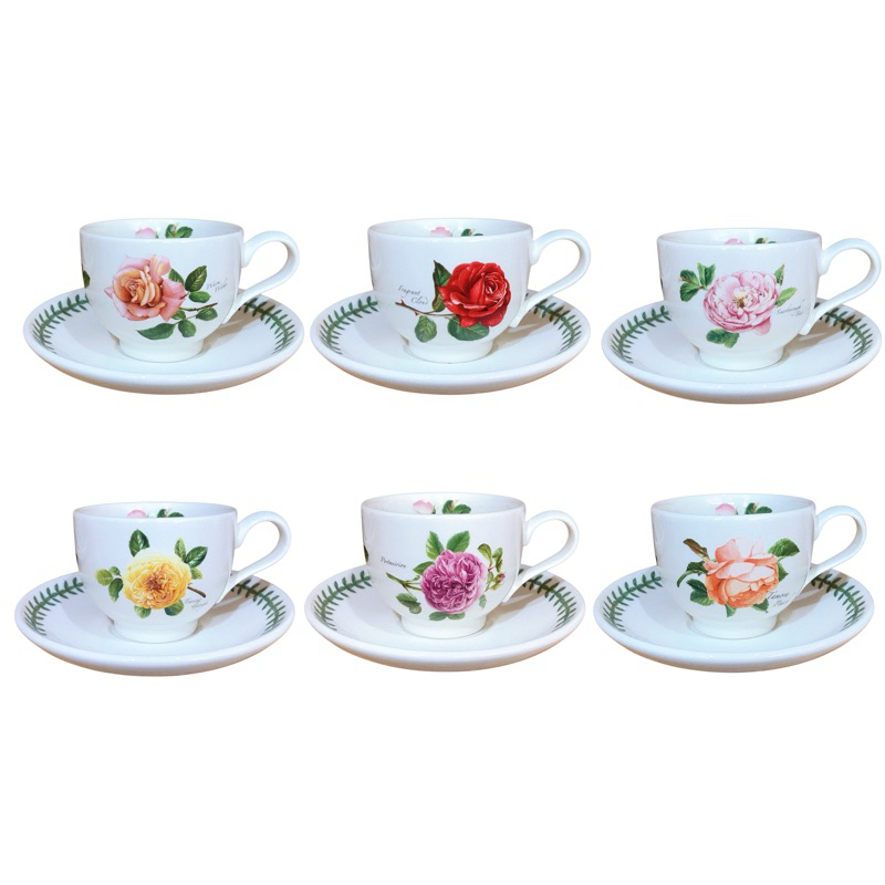 Botanic Roses Teacup & Saucer