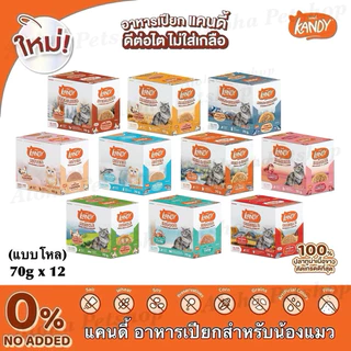 (แบบโหล)Kandy Cat Pouch in Jelly ❤️😺 แคนดี้ อาหารเปียกสำหรับแมวในเยลลี่บรรจุ 70g*12