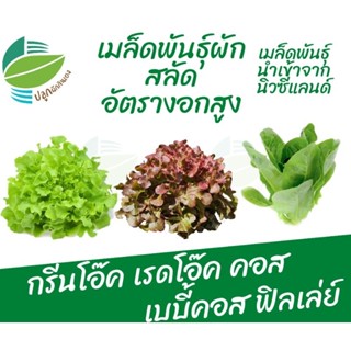 🌱🥗เมล็ด​พันธุ์​ผักสลัดยอดนิยม อัตรางอกดี กรีนโอ๊ค เรดโอ๊ค คอ…