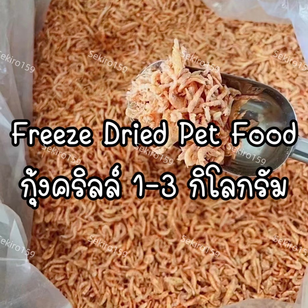 กุ้งคริล์ลฟรีซดราย หอม กรอบ สดใหม่ ขนาด 1-3 กิโล ขนมแมว ขนมหมา สุดคุ้ม Freeze Dried