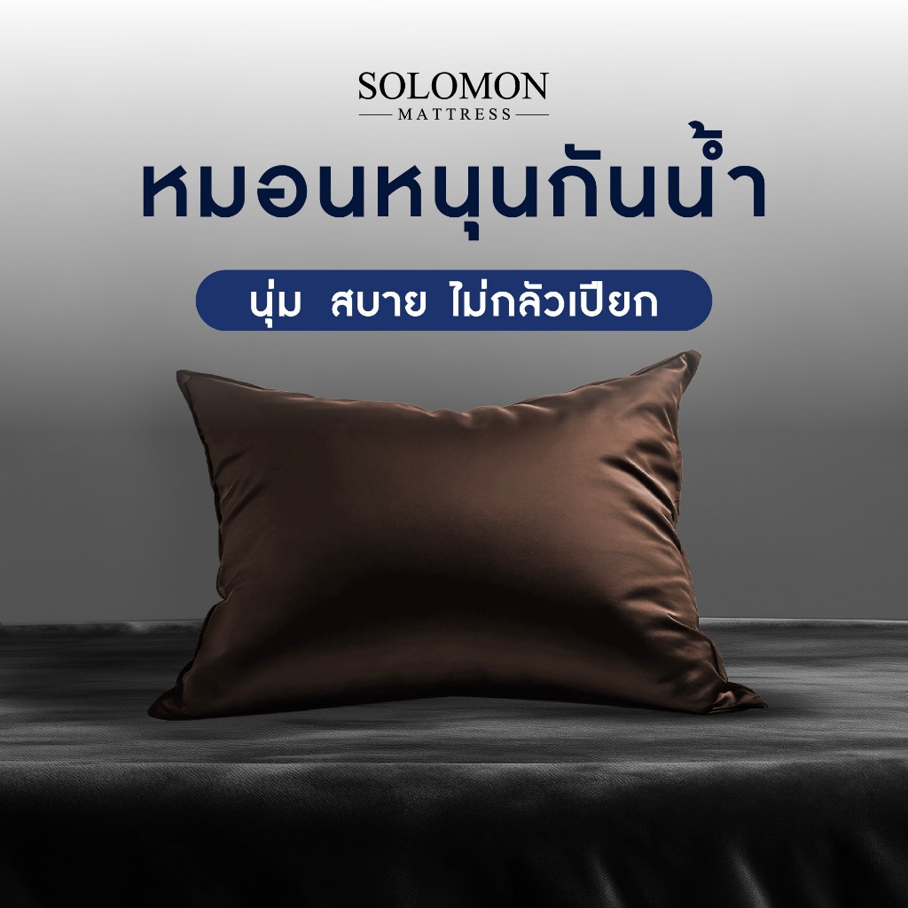 SOLOMON หมอนหนุนกันน้ำ หมอนขนเป็ด กันเปื้อน
