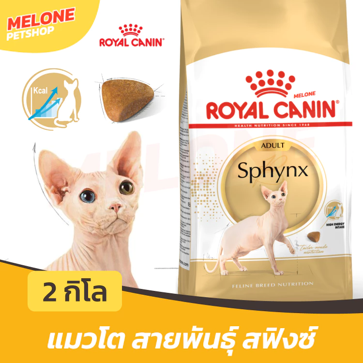 Royal Canin Sphynx Adult อาหารแมว รอยัลคานิน แมวโต บำรุงขน ชุ่มชื่น พันธุ์ สฟิงซ์ 2 kg